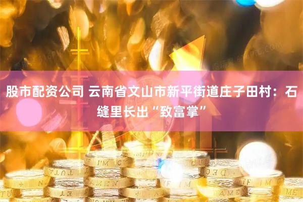 股市配资公司 云南省文山市新平街道庄子田村：石缝里长出“致富掌”